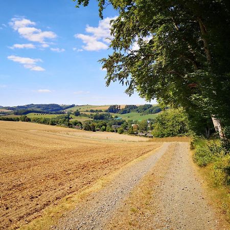 Haus Julia Direkt Am Hennesee Mitten Im Sauerland メシェデ エクステリア 写真