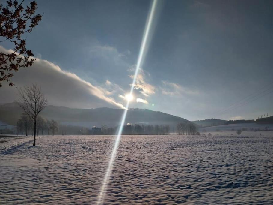 Haus Julia Direkt Am Hennesee Mitten Im Sauerland メシェデ エクステリア 写真