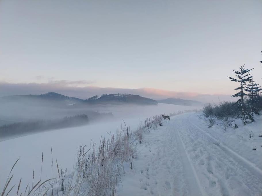 Haus Julia Direkt Am Hennesee Mitten Im Sauerland メシェデ エクステリア 写真