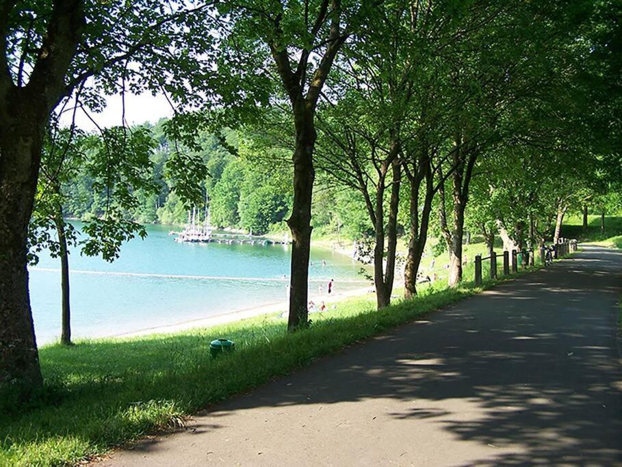 Haus Julia Direkt Am Hennesee Mitten Im Sauerland メシェデ エクステリア 写真