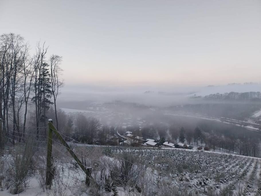 Haus Julia Direkt Am Hennesee Mitten Im Sauerland メシェデ エクステリア 写真