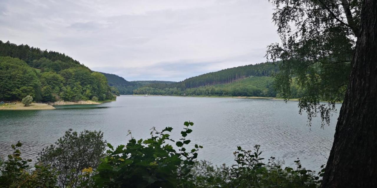 Haus Julia Direkt Am Hennesee Mitten Im Sauerland メシェデ エクステリア 写真