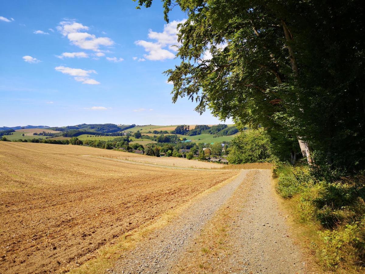 Haus Julia Direkt Am Hennesee Mitten Im Sauerland メシェデ エクステリア 写真